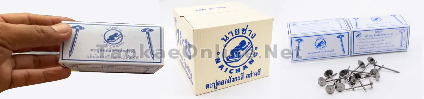 ตะปูตอกสังกะสี