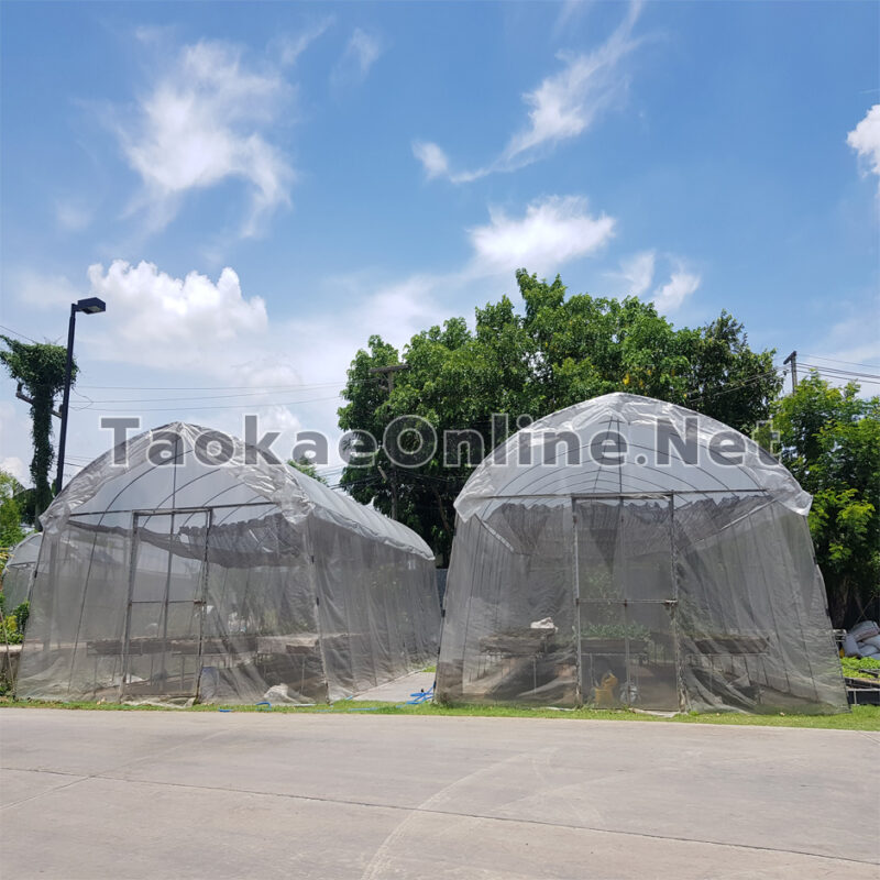 พลาสติกโรงเรือน 1