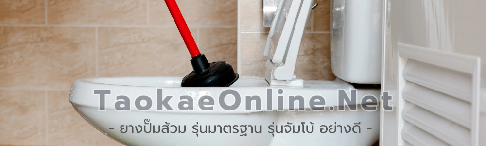 ยางปั๊มส้วม