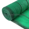 แสลน ทองตรง สีเขียว