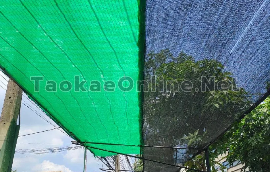 รีวิวจากผู้ใช้งาน