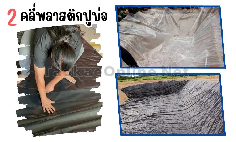 ขั้นตอนการปูบ่อ