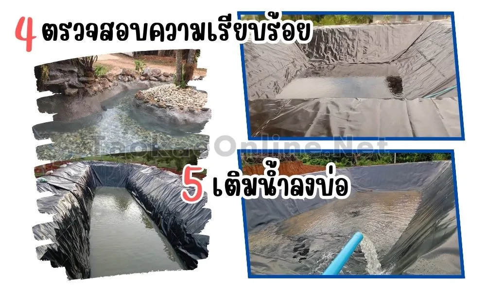 ขั้นตอนการปูบ่อ