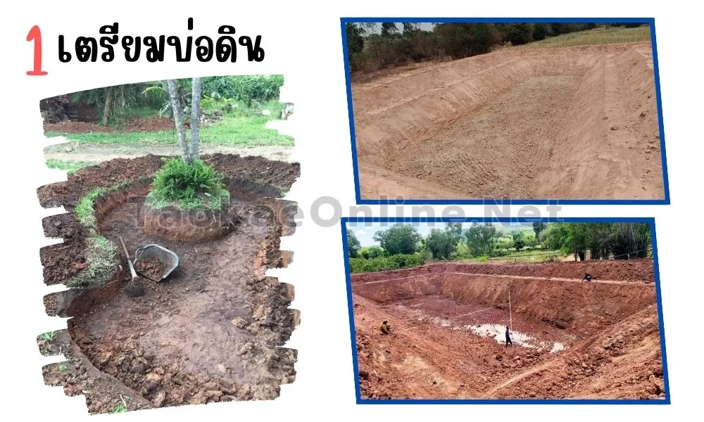 ขั้นตอนการปูบ่อ