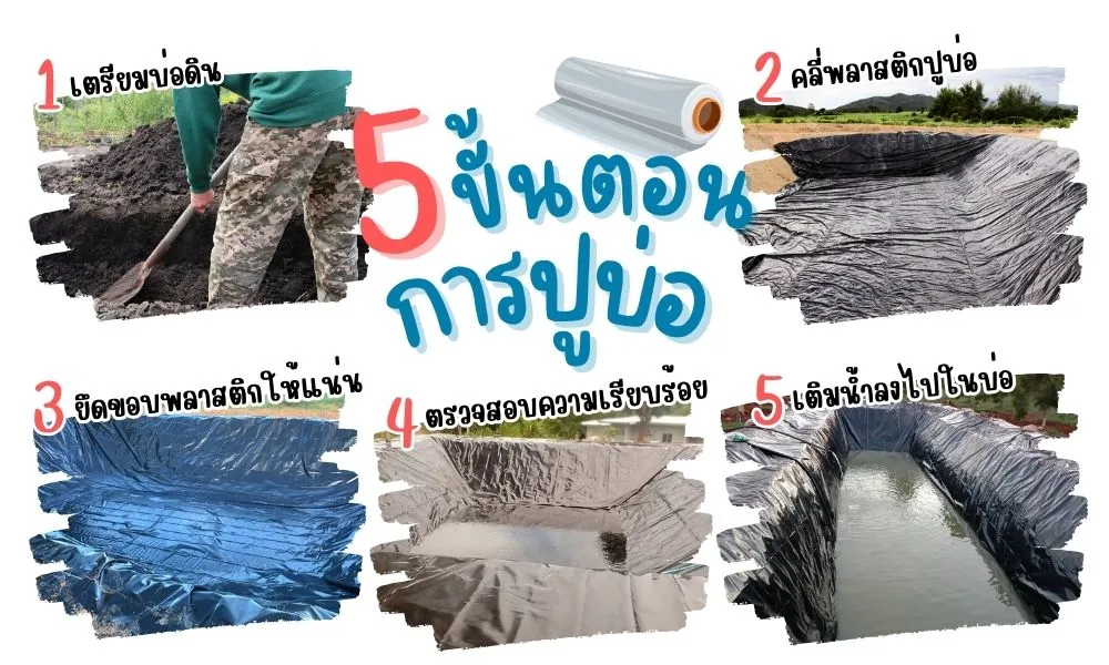 ขั้นตอนการปูบ่อ