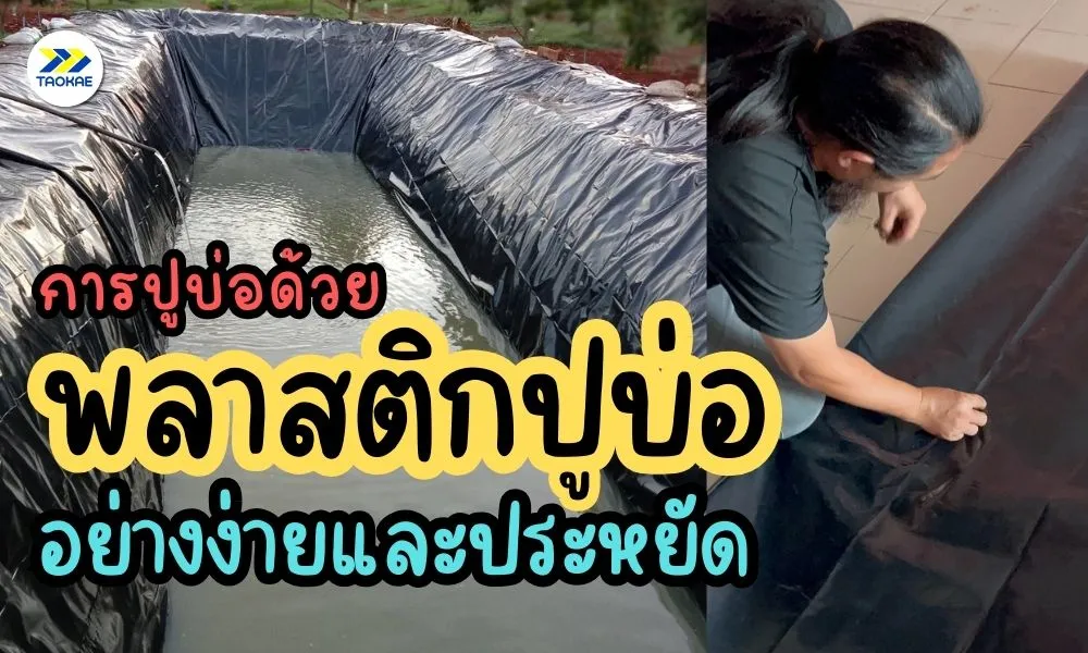ขั้นตอนการปูบ่อ