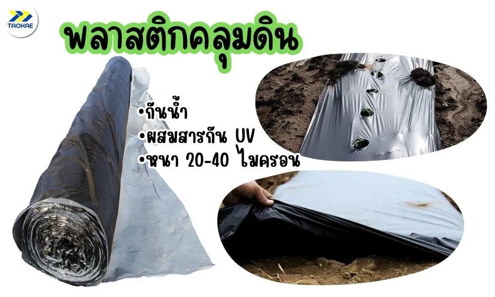 พลาสติกคลุมหญ้ามี2แบบ