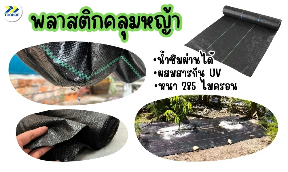 พลาสติกคลุมหญ้ามี2แบบ